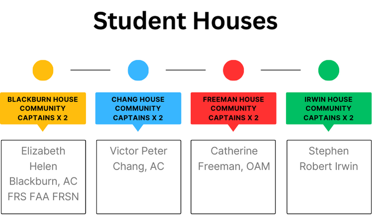Houses and Colours